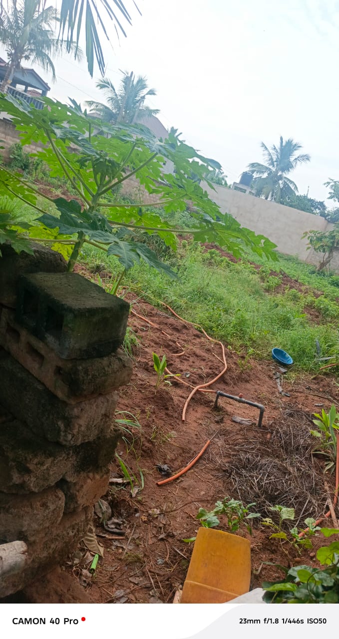 Terrain en vente à Agoè Legbassito – 30 millions FCFA