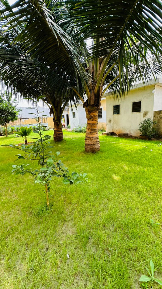 À VENDRE 70 Millions Hedranawoe