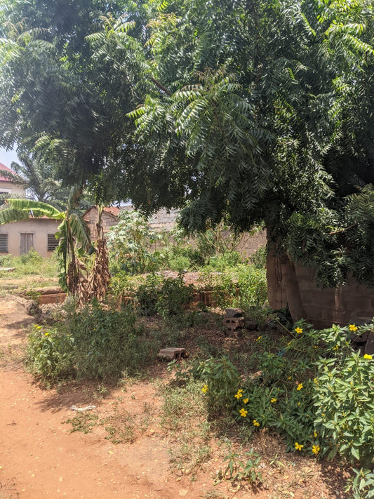 Terrain (1/2 lot) en vente à Agoè Assiyéyé – 30 millions FCFA