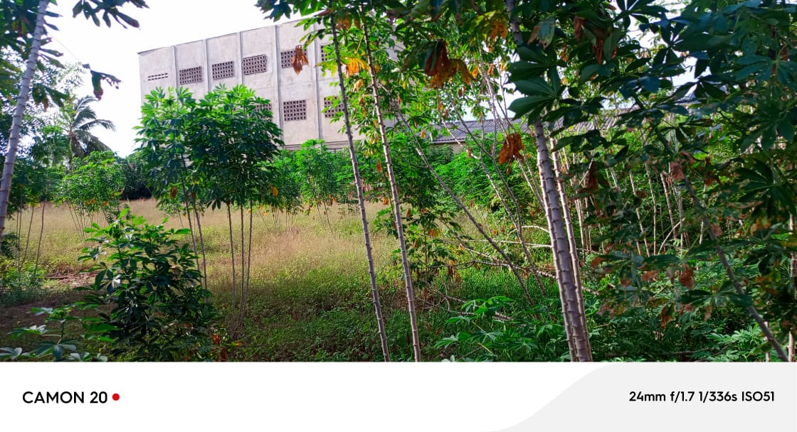 Terrain à vendre à Adidogomé Sagbado – à partir de 15 millions FCFA