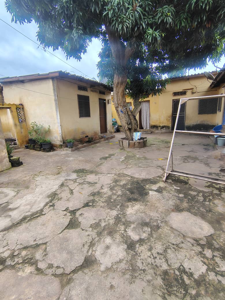 Maison 5 pièces en vente sur demi lot à Avedji CMS Elavagno – 25 millions FCFA