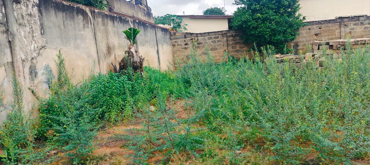 Terrain de 1 lot en angle de rues clôturé à vendre à Agoè Nyivé Gendarmerie – 50 millions FCFA