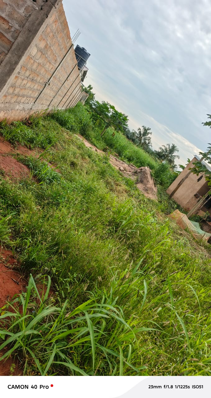 1/2 lot de terrain en vente à Apessito (Légbassito - Mission Tové) – 7 millions FCFA