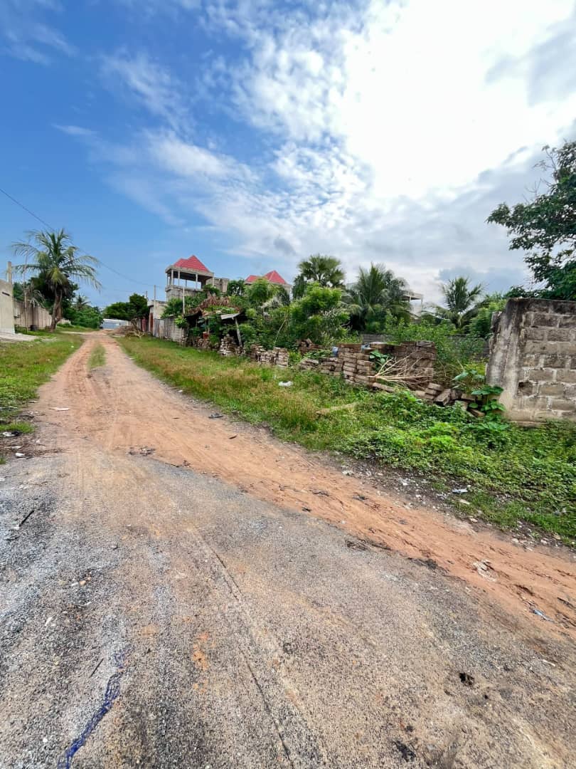 Terrain de 1 lot en vente à Adidogomé – 50 millions FCFA