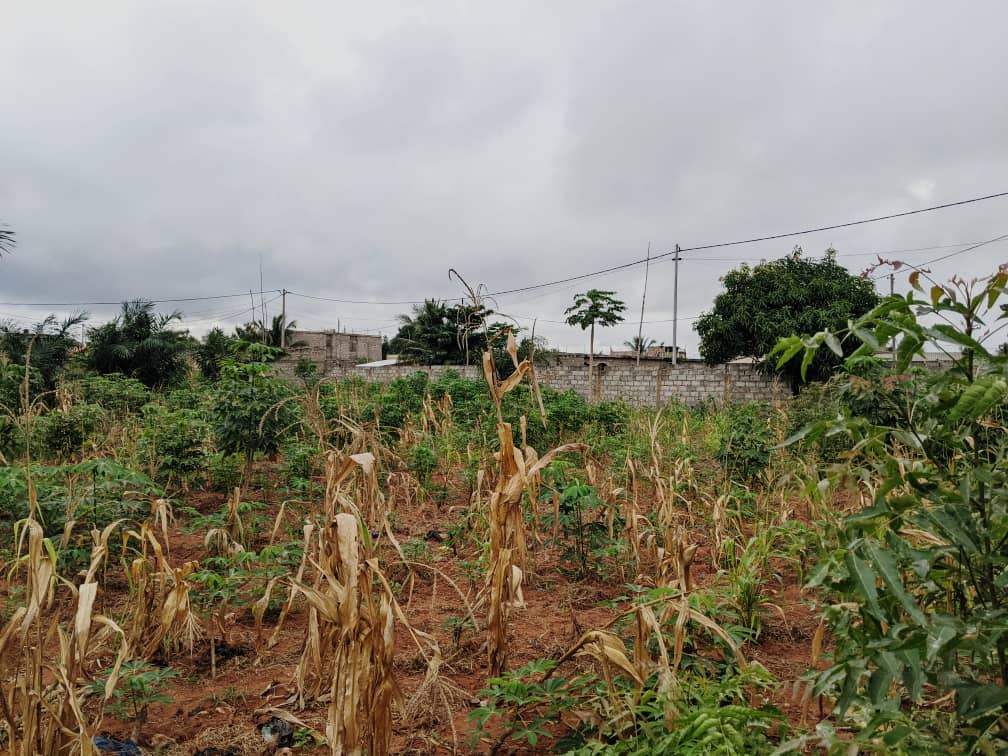 Terrain d'un demi-lot en vente à Ségbé Franco Arabe – 9 millions FCFA