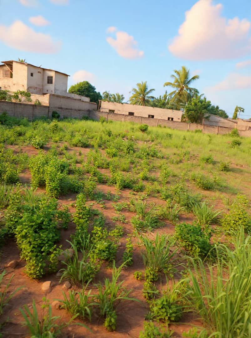 Terrain en vente à Adidogomé – 55 millions FCFA