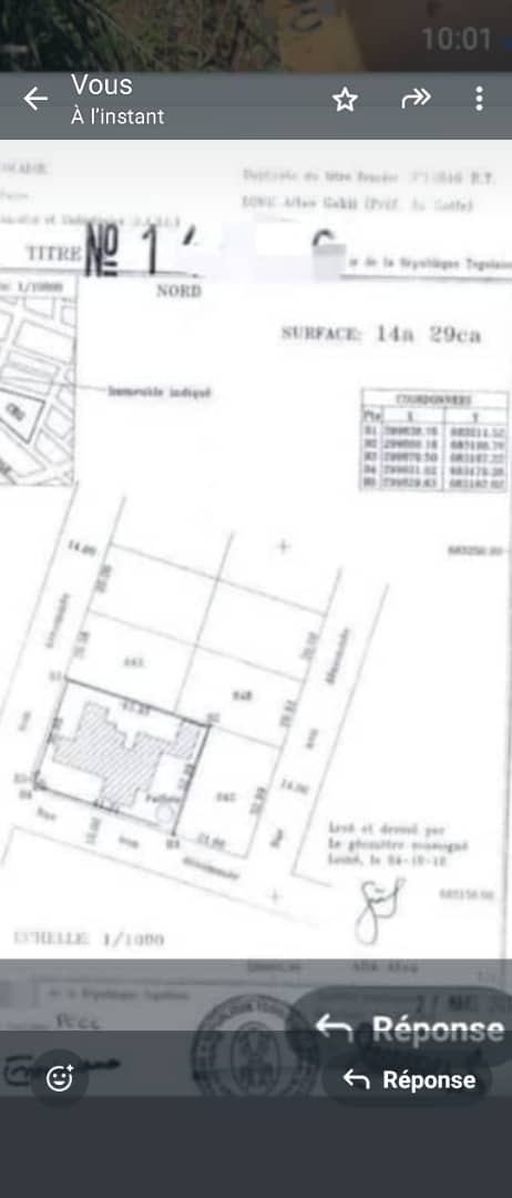 Terrain de 1429 m² en vente à Avénou Kouvahey – 160 millions FCFA
