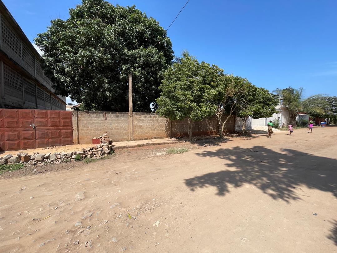 Terrain d'un lot et demi en vente à Hédzranawoé - 85 millions FCFA