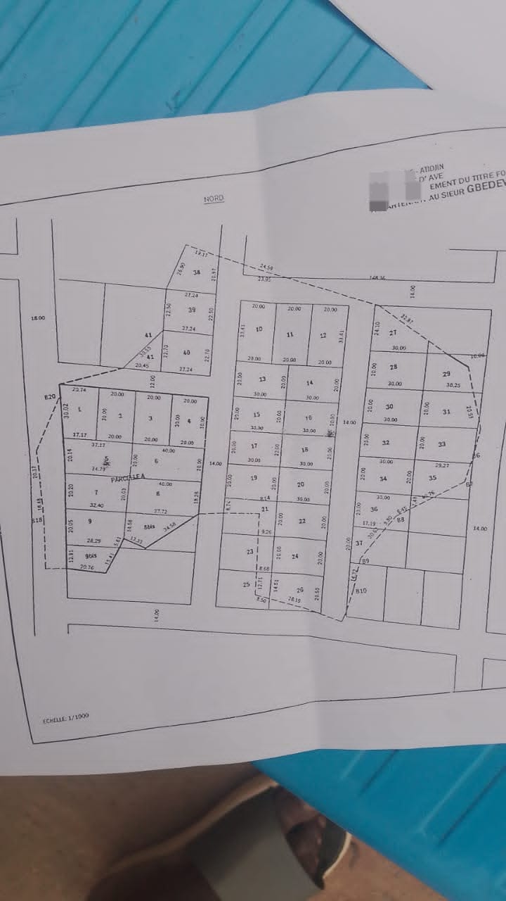 Terrain de 17400 m² en vente à Zanguera – 13 millions FCFA le lot