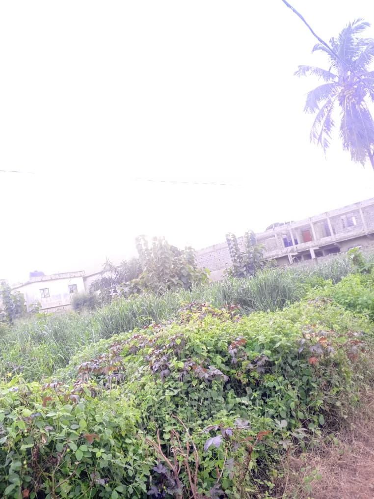 Terrain de 1200 m² en vente en angle de rue à Adidogomé Attigangome – 33 millions FCFA le lot