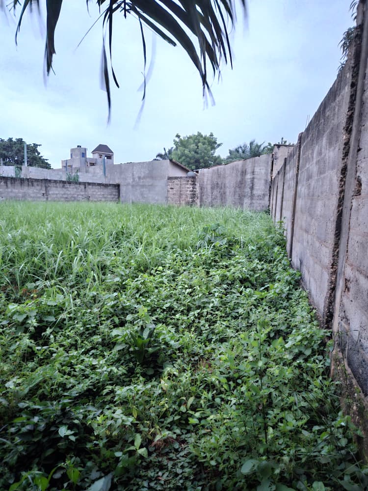 Terrain 1/2 lot en vente proche du goudron à côté du marché Légbassito – 25 000 000 FCFA