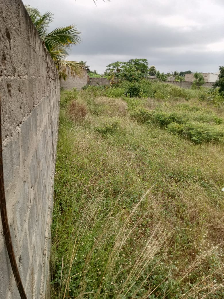 Demi-lot clôturé en vente à 20 minutes du goudron d’Adétikopé – 5 millions FCFA