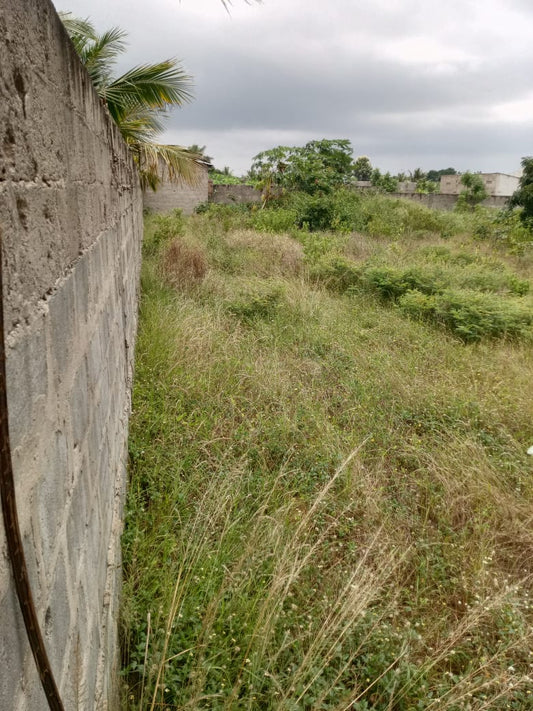 Demi-lot clôturé en vente à 20 minutes du goudron d’Adétikopé – 5 millions FCFA