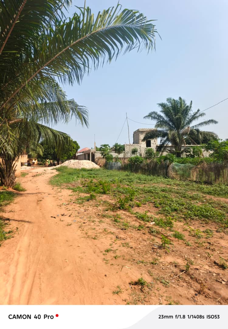 Terrain 1/4 de lot en vente à Zanguera – 5.500.000 FCFA