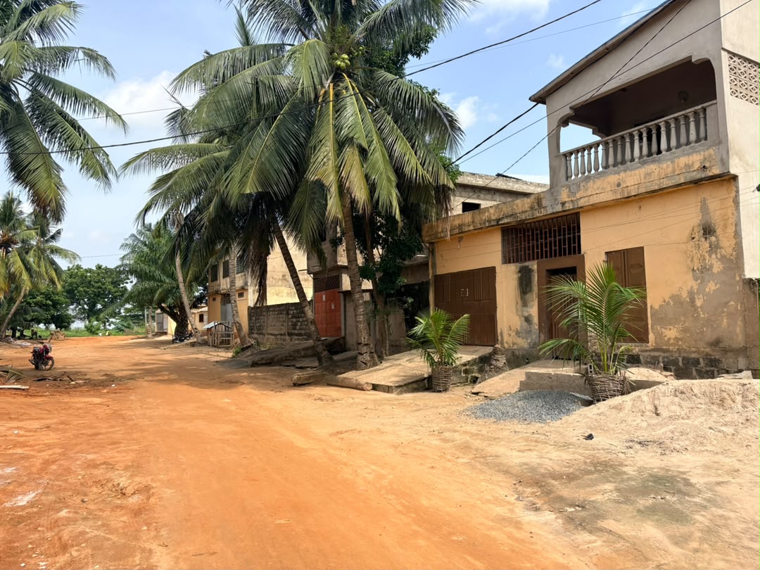 Terrain en vente à Sogbossito – 20 millions FCFA