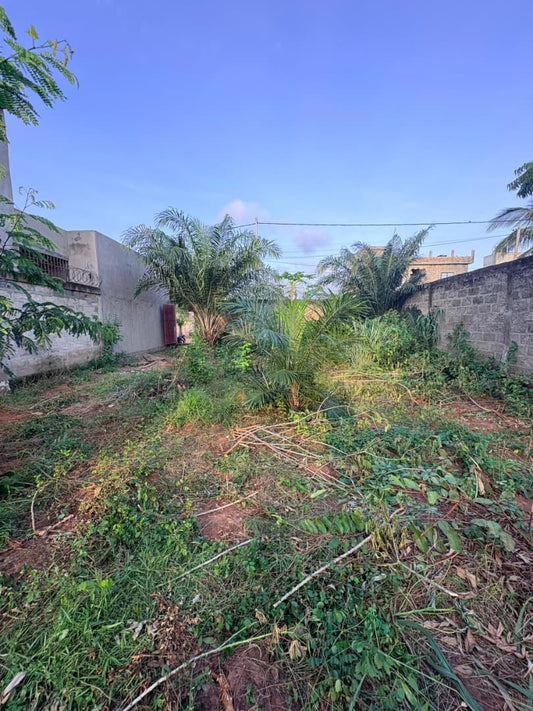 Terrain de 327 m² en vente à Zanguéra Sanyramé – 12 millions FCFA