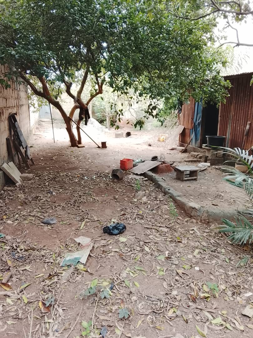 Terrain de 300 m² clôturé à Avedji – 14.5 millions FCFA