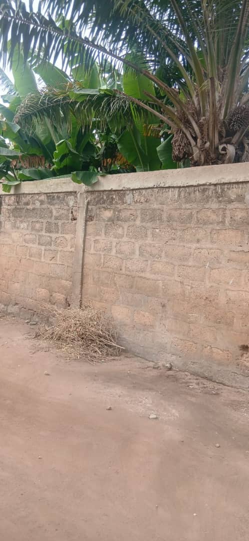 Terrain de 150 m² en vente derrière entreprise de l'union – 8,5 millions FCFA