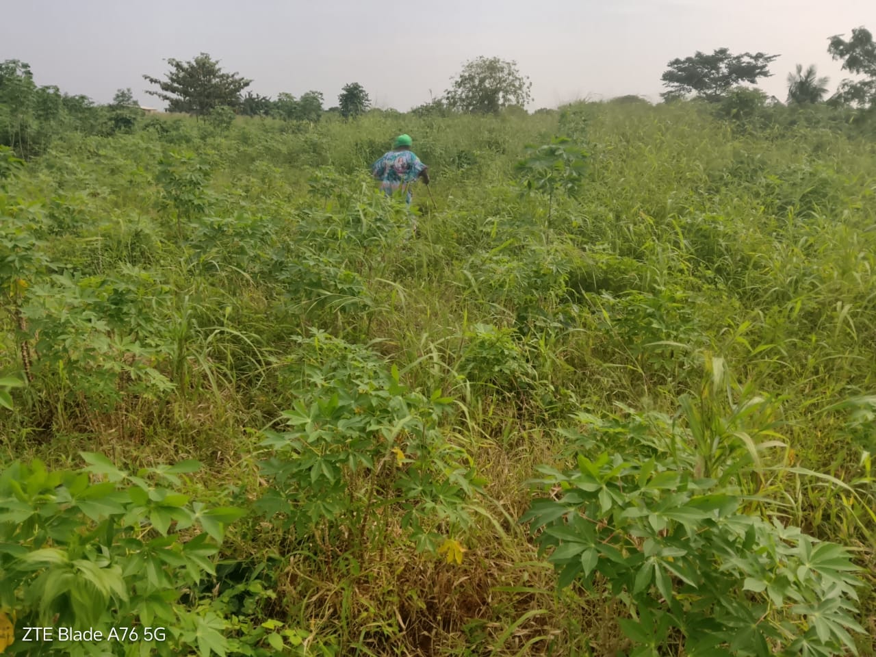 Terrain demi lot en vente à Atoukpancopé route d'Aveta – 3,5 millions FCFA