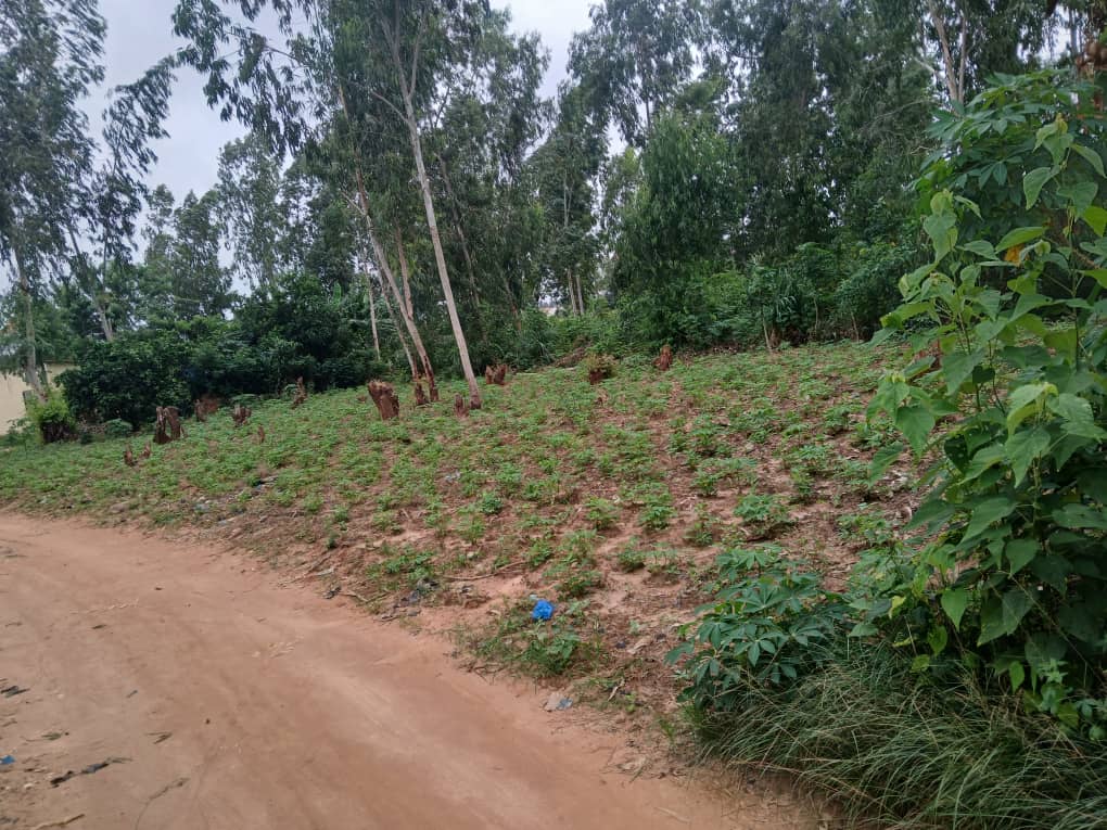 Terrain de 3 lots en vente à Adidogomé Apedokoé, proche du goudron – 26 millions FCFA le lot