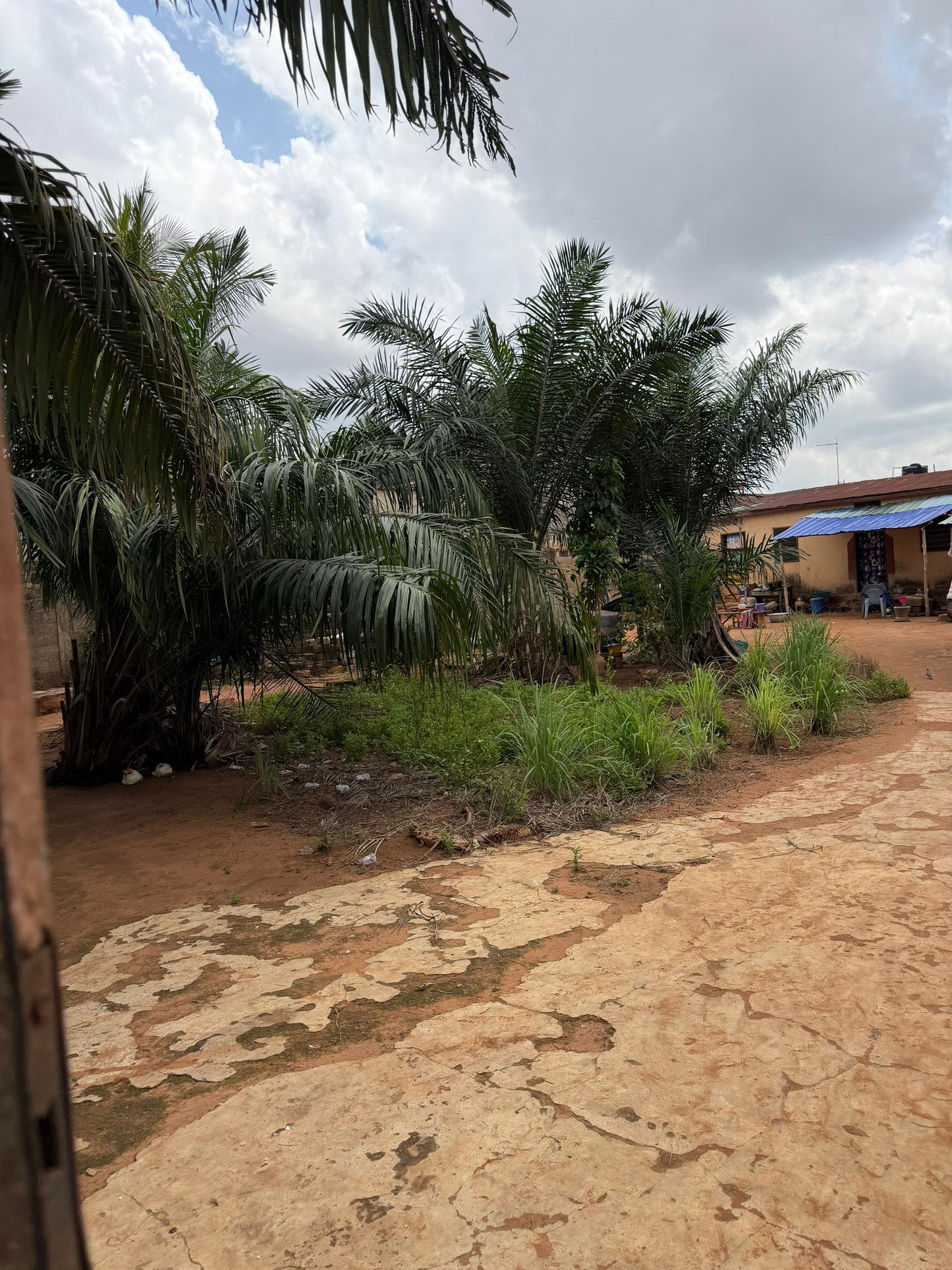 Terrain 1 lot en vente à Assigomé École Déo Gracias – 35 millions FCFA