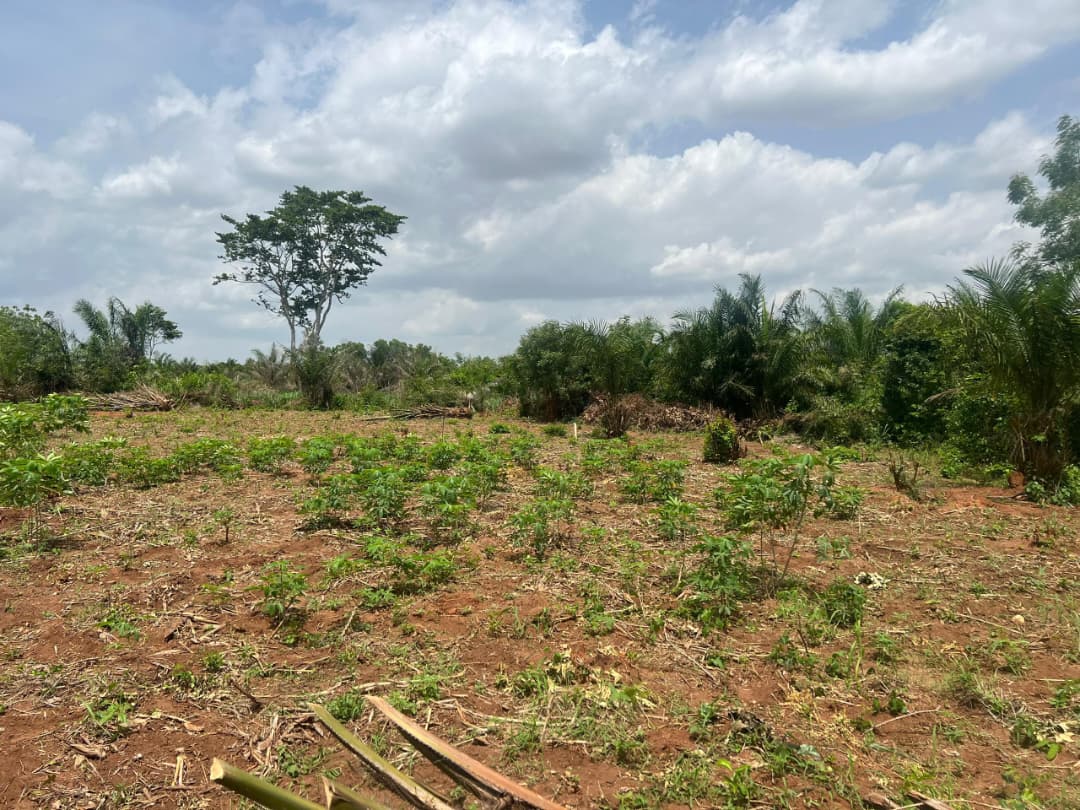 Demi lot de terrain en vente à Kovié Ananissimé – 2 500 000 FCFA