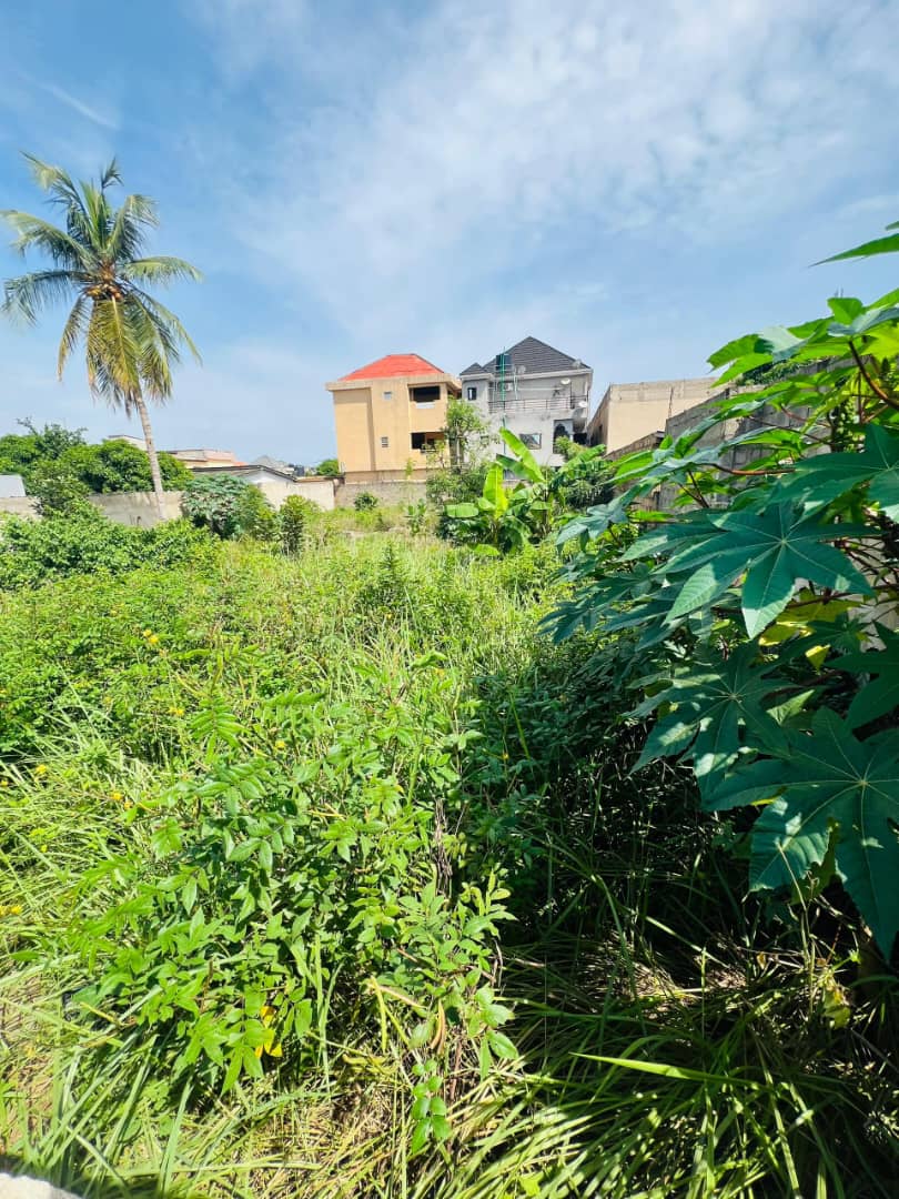 Terrain d'un demi-lot clôturé en vente à Agoè Assiyéyé – 20 millions FCFA