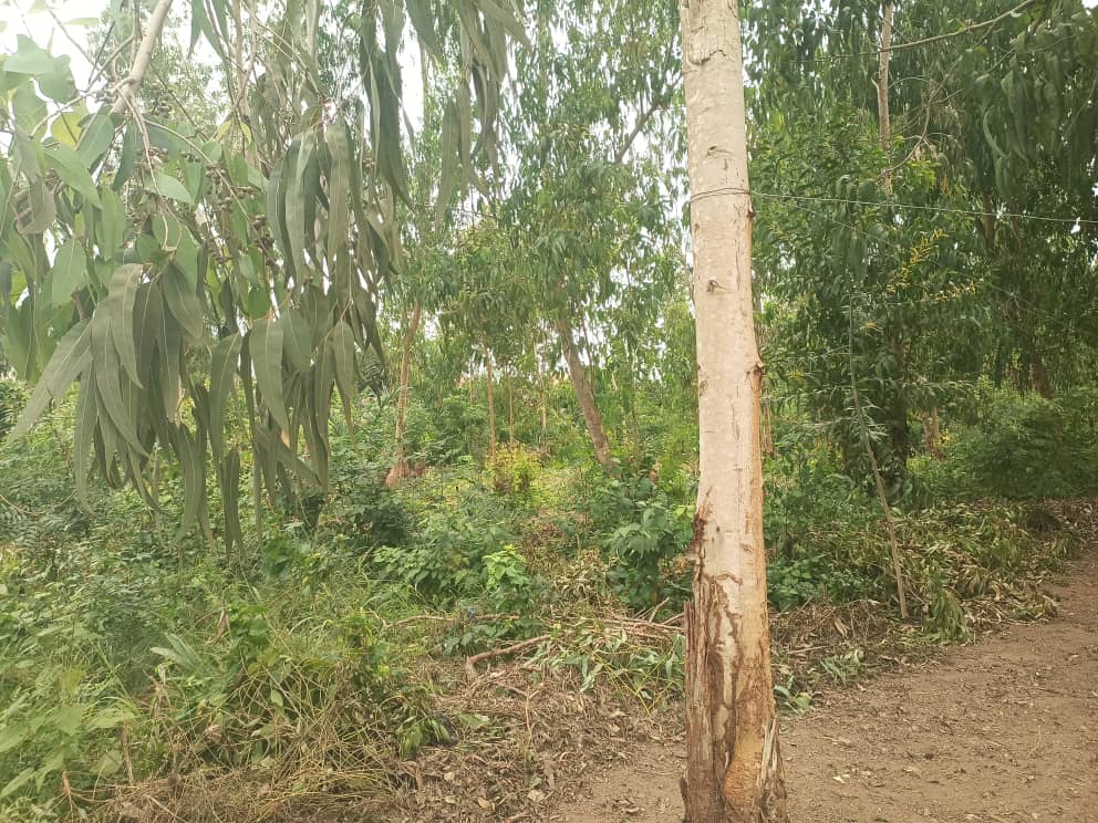 2 lots de terrain à vendre à Adidogomé Apédokoè – 23 millions FCFA