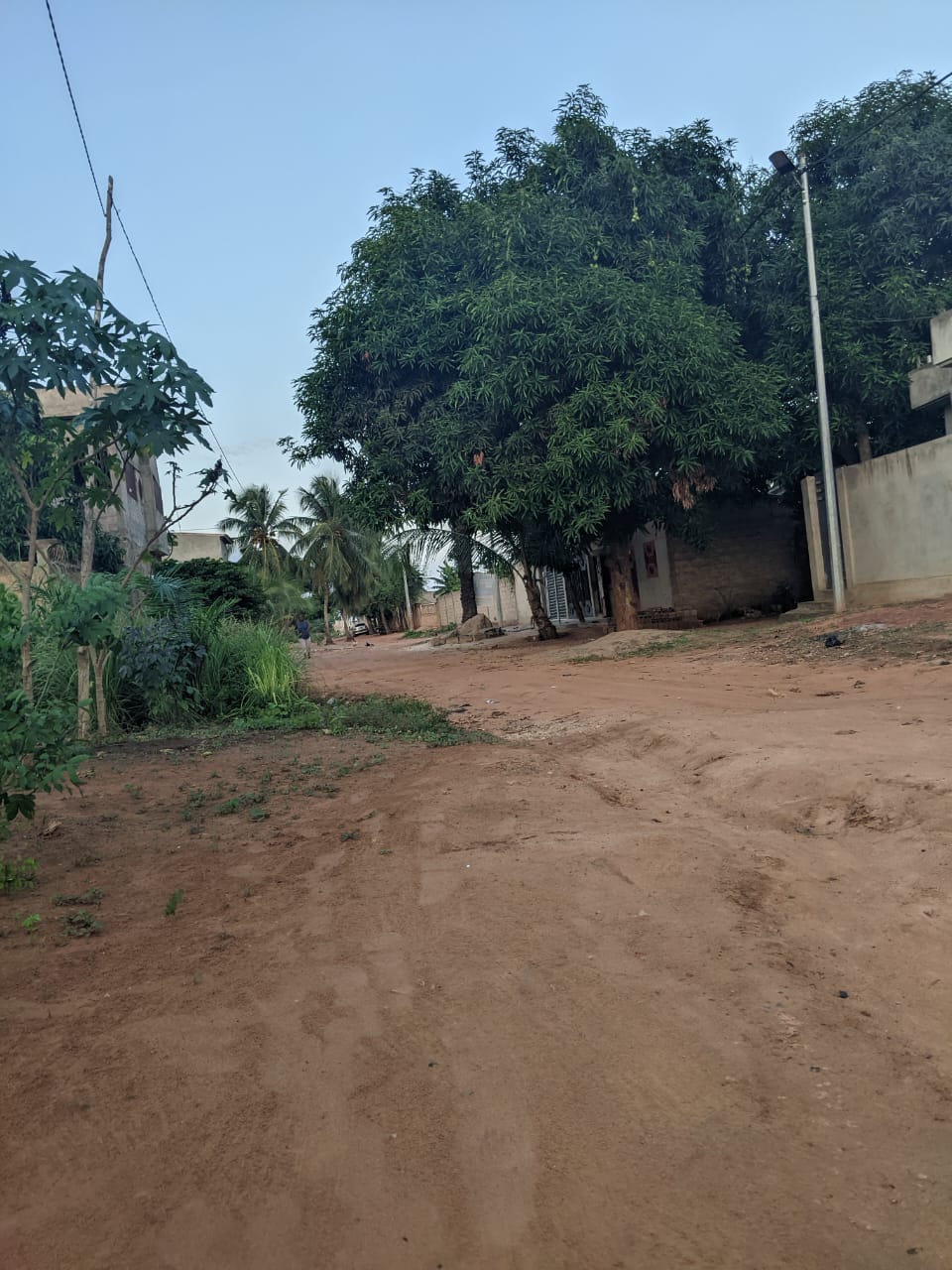 Terrain de 4 lots en vente à Akato Viépé – 17 millions FCFA le lot