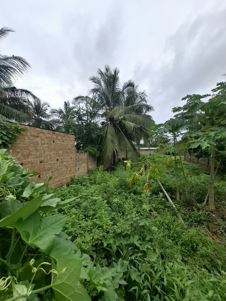 Terrain cloturé en vente à Ségbé – 28 000 000 FCFA