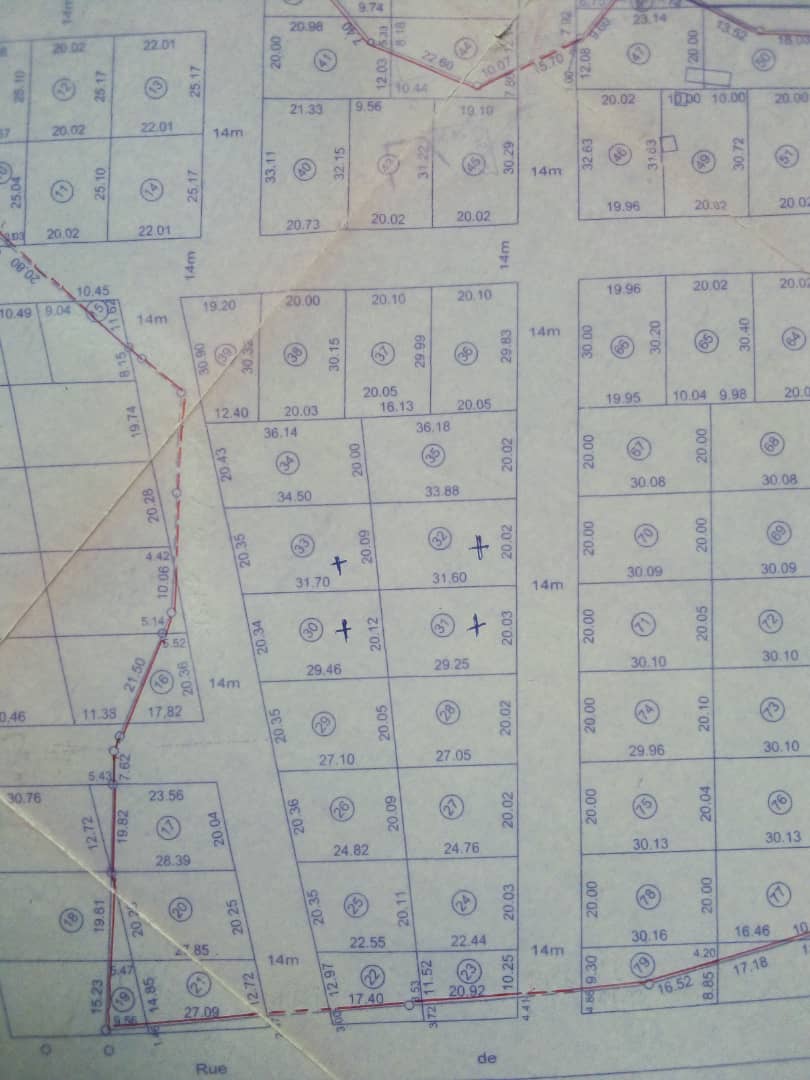 Terrain de 40 lots en vente à Noepé – 8 500 000 FCFA le lot