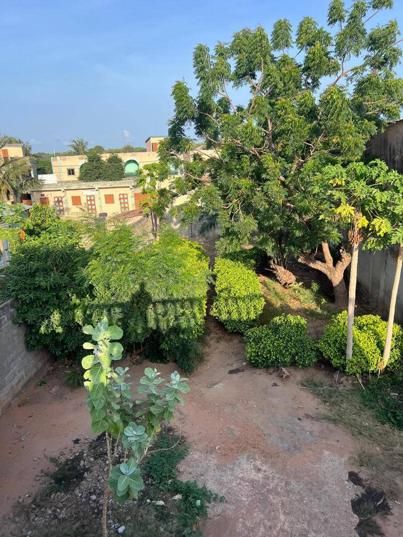 Terrain 338 m² avec bâtiment d'une chambre et salon en vente à Klikamé – 37 millions FCFA