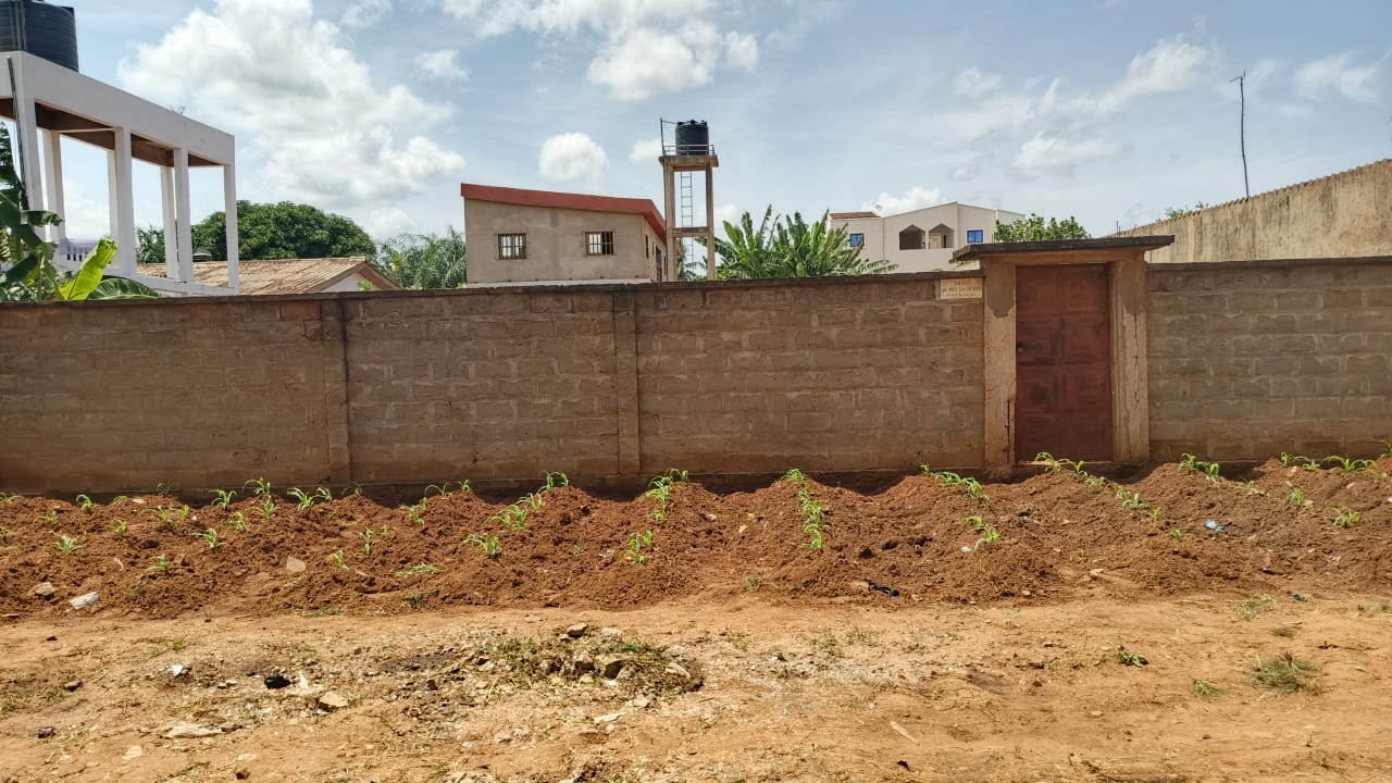 Terrain de 600 m² en vente à Kégué – 30 millions FCFA