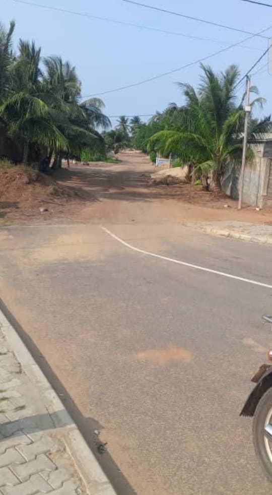 Terrain en vente proche du goudron à Togokomé – 50 millions FCFA