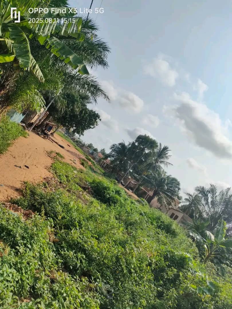 Demi lot en vente en angle de rue à Agoè Sogbossito – 11 millions FCFA