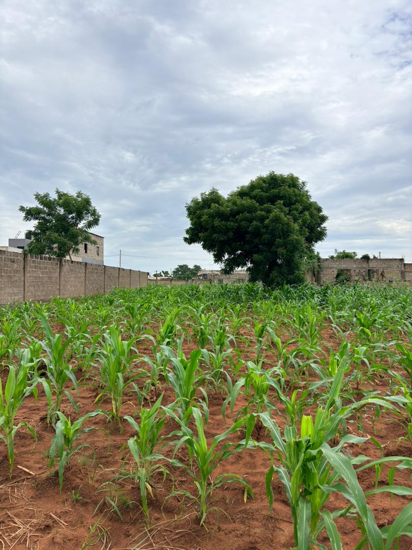 Terrain en vente à Kpala Avenyakè non loin de l'école Humilité et Respect – 9 millions FCFA