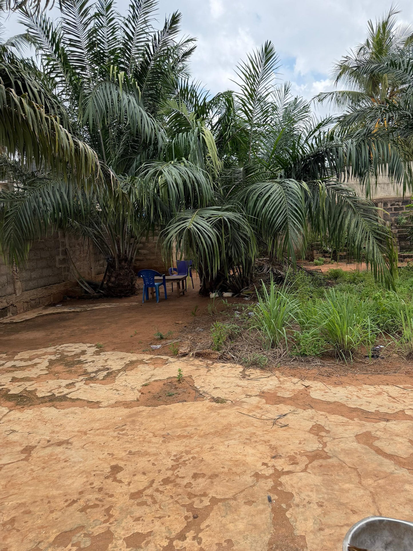 Terrain 1 lot en vente à Assigomé École Déo Gracias – 35 millions FCFA