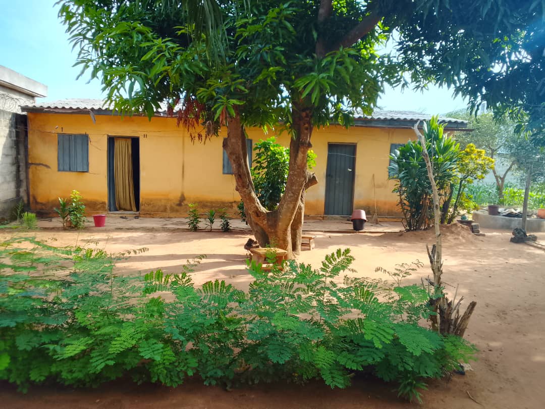 Terrain en vente à Adéticopé – 18 500 000 FCFA