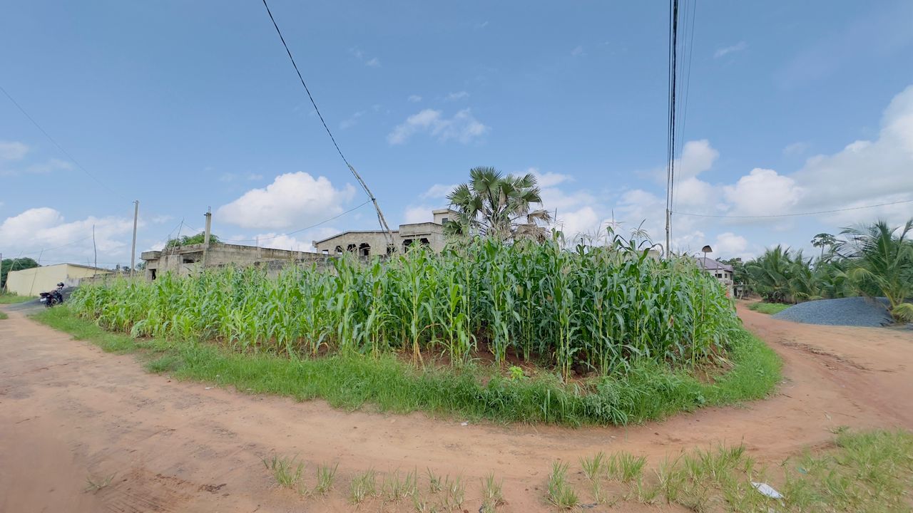 Terrain 1 lot en vente en angle de rue à Zanguéra UCAO – 22 millions FCFA