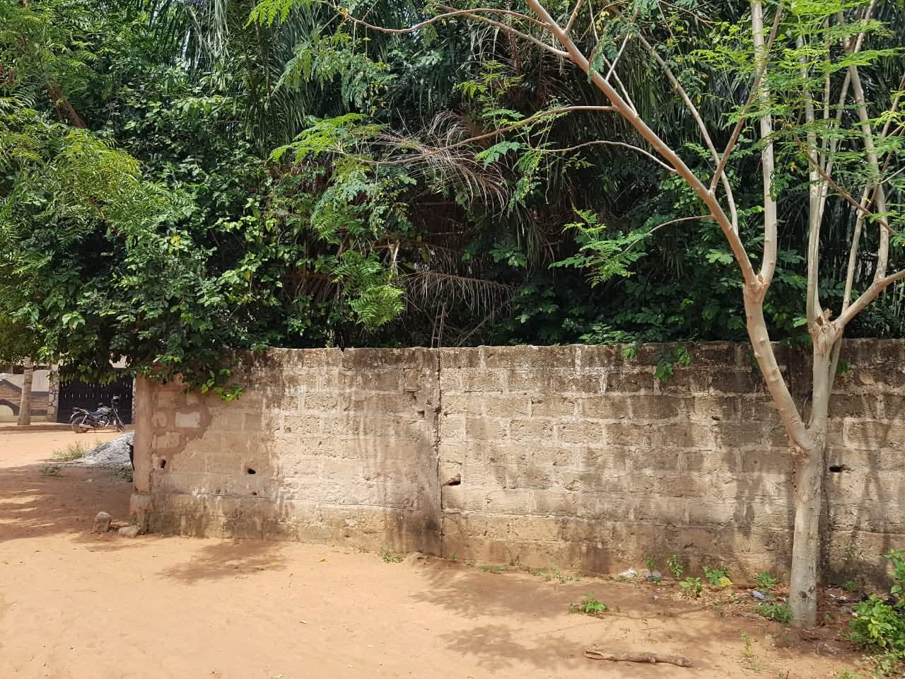 Terrain d'un demi-lot carré angle de rues en vente à Légbassito Madjikpeto – 12 500 000 FCFA
