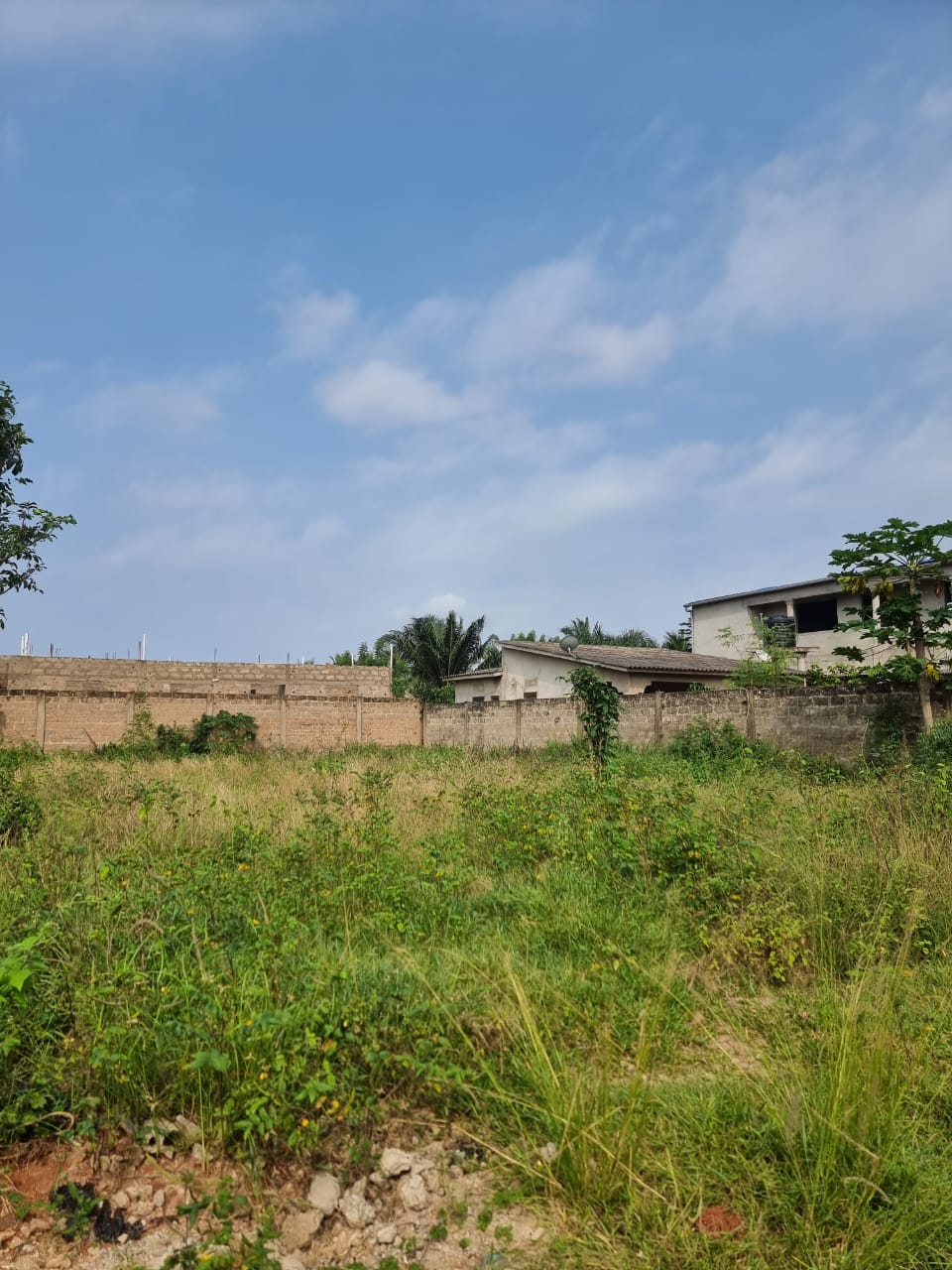 Terrain en vente à Segbé Akato – 23 000 000 FCFA