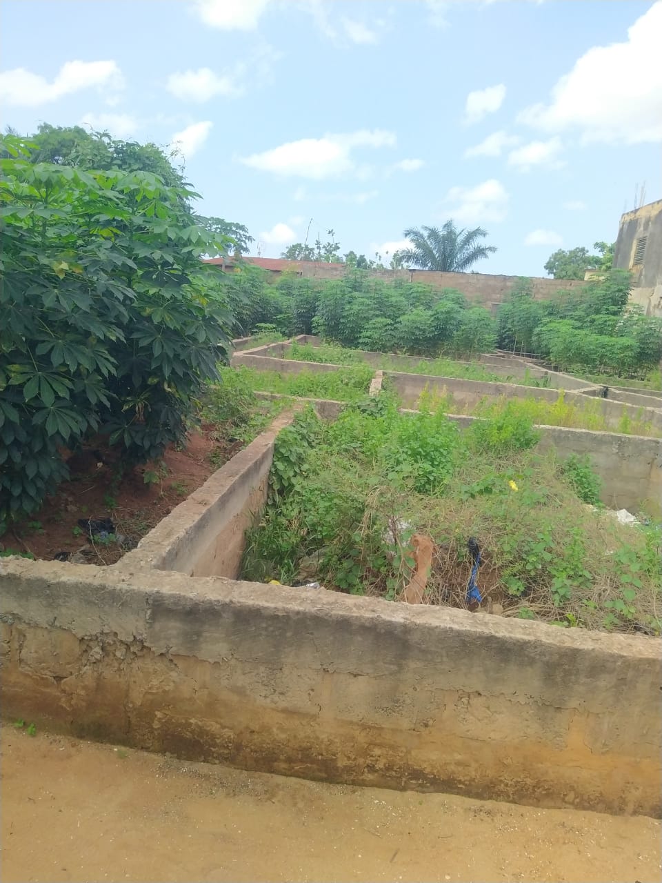 Terrain de 667 m² en vente à Agoè Assiyéyé, à 300m du goudron – à partir de 35 millions FCFA