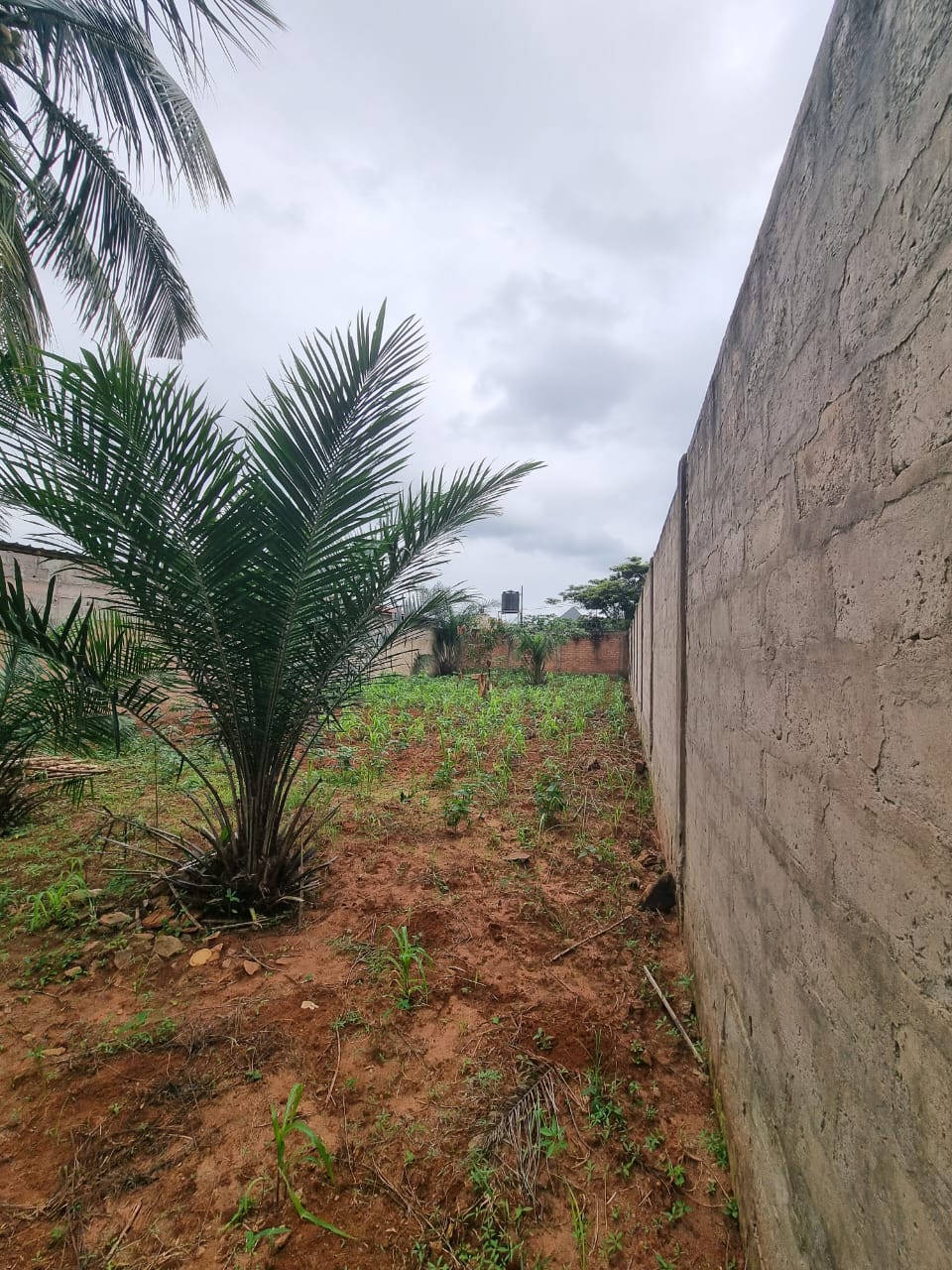 Terrain en vente à Ségbé Akato Catholique – 9 000 000 FCFA