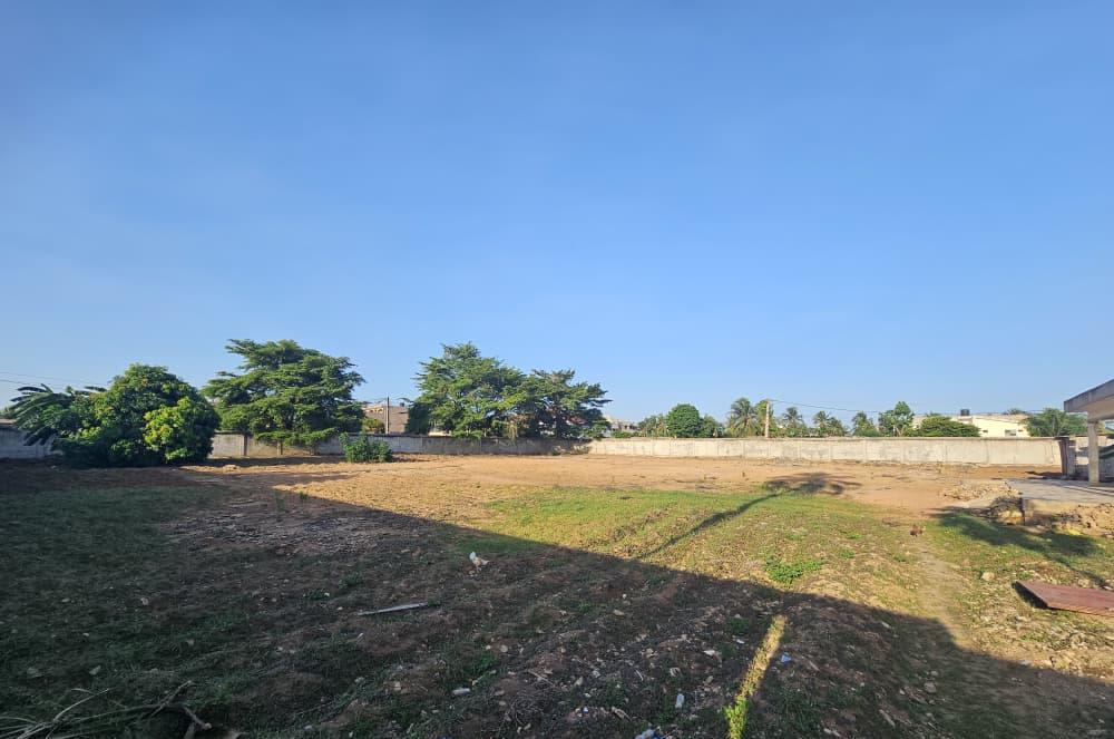 Terrain de 600 m² en vente à Avenou Toto – 70 millions FCFA