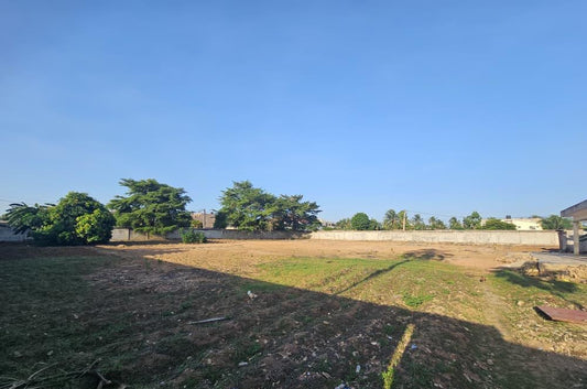 Terrain de 600 m² en vente à Avenou Toto – 70 millions FCFA