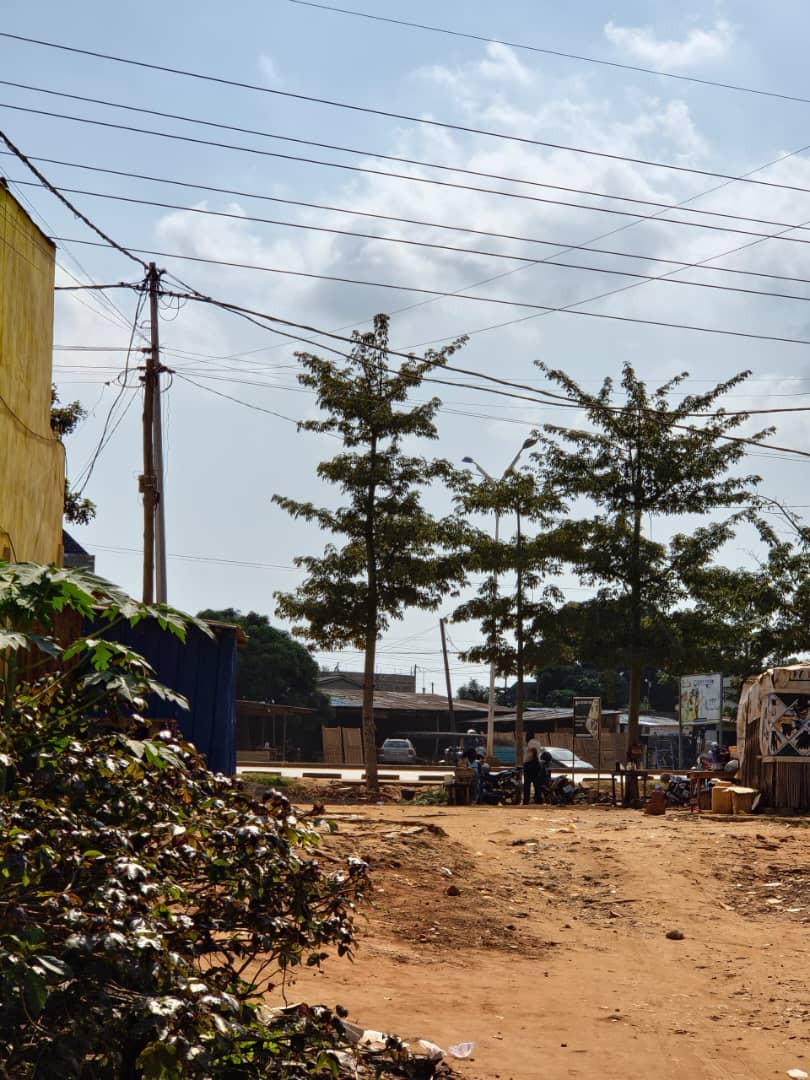 Terrain de 13800 m² en vente à Aképé – 17 millions FCFA le lot