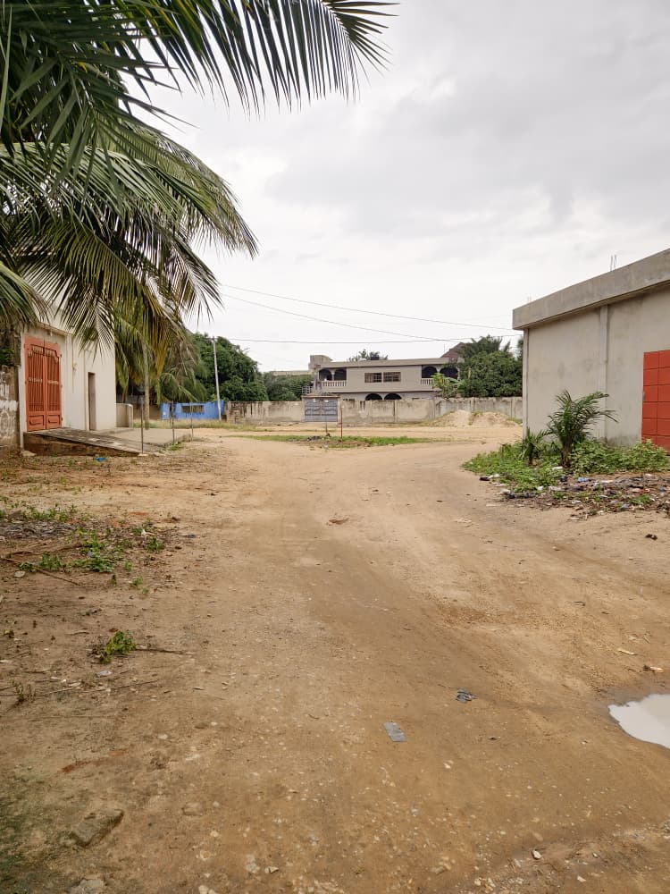 Terrain de 300 m² en vente à Sanguéra Klemé – 13 millions FCFA
