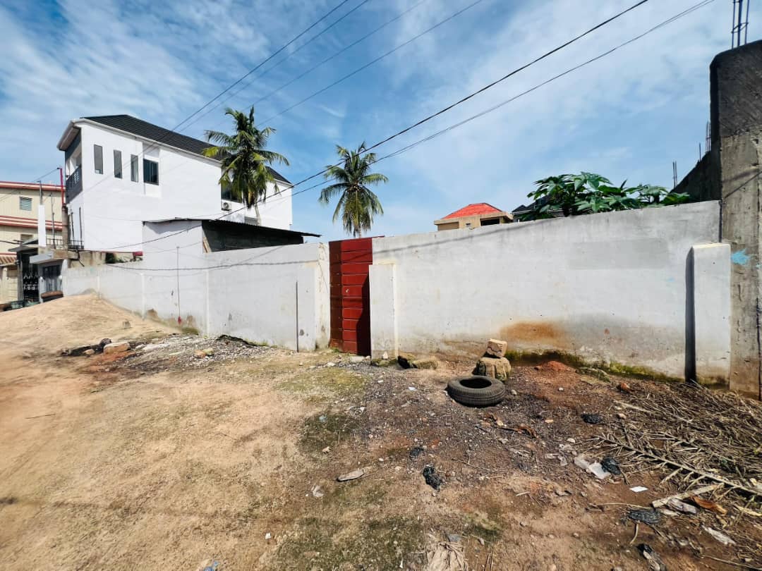 Terrain d'un demi-lot clôturé en vente à Agoè Assiyéyé – 20 millions FCFA