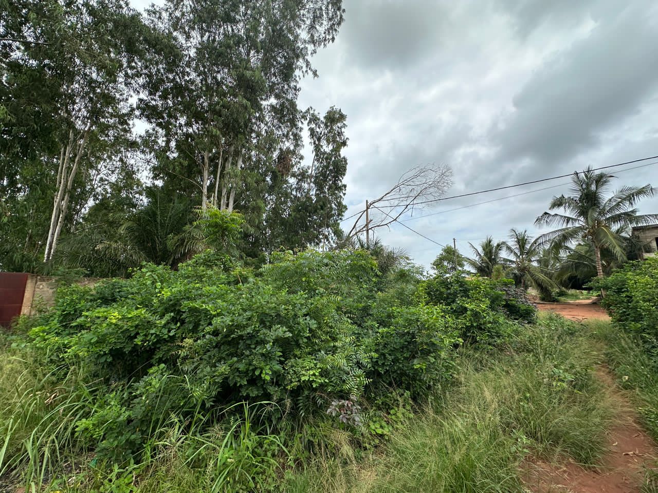 Terrain de 2 lots en vente à Apessito – 25 millions FCFA