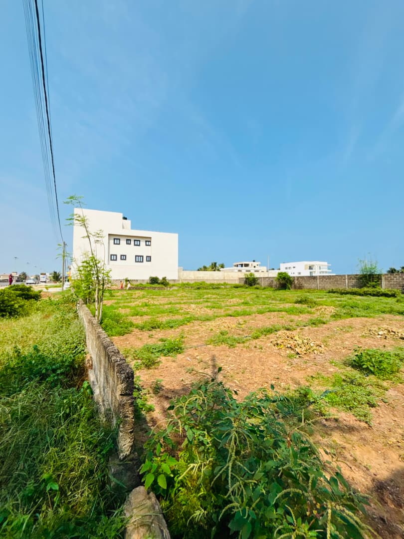 Terrain de 900 m² en vente en bordure de goudron et en angle de rue à Kpogan – 50 millions FCFA